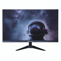Esonic ESLM22S 22-Inch FHD Micro-border Monitor